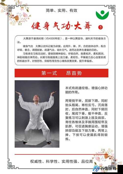 《CDDA 大灾变:武术招式解析,带你领略生存之道》