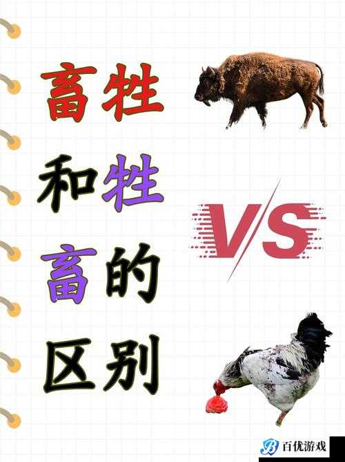 人与畜禽的关系是怎样的?我们该如何正确看待和处理这种关系?