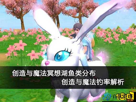 《创造与魔法》:河豚的神秘垂钓之旅